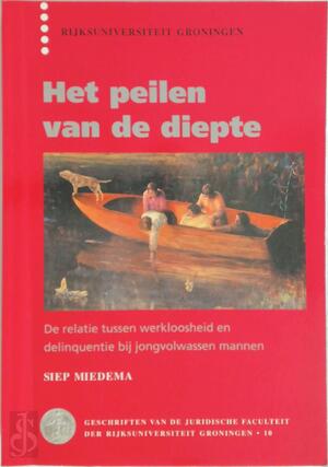Het peilen van de diepte - S. Miedema