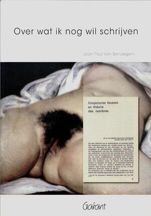 Over wat ik nog wil schrijven - J. van Bendegem