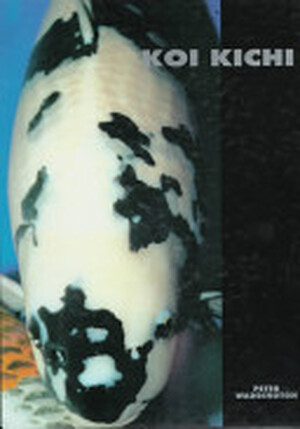 Koi Kichi - Peter Waddington Koi Kichi - Peter Waddington
