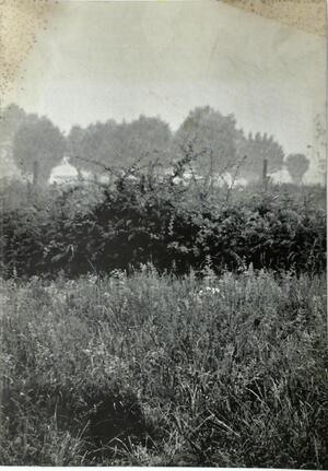 Flämische Landschaft / Vlaamse Landschappen - Günther Uecker, Jef Verheyen, Gerald Dauphin Flämische Landschaft / Vlaamse Landschappen - Günther Uecker, Jef Verheyen, Gerald Dauphin