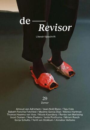 Revisor 29 - Diverse auteurs Revisor 29 - Diverse auteurs