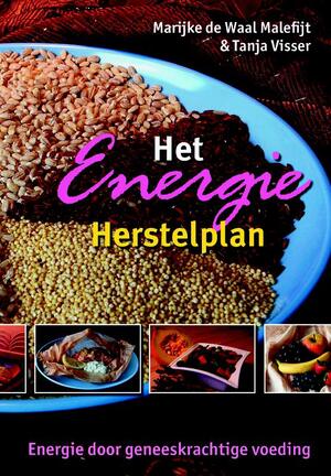 Het Energie Herstelplan - M. de Waal, T. Visser Het Energie Herstelplan - M. de Waal, T. Visser