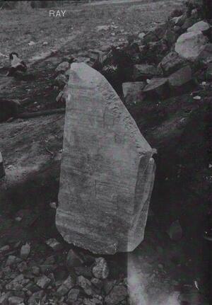 Susanne Kriemann - Susanne Kriemann