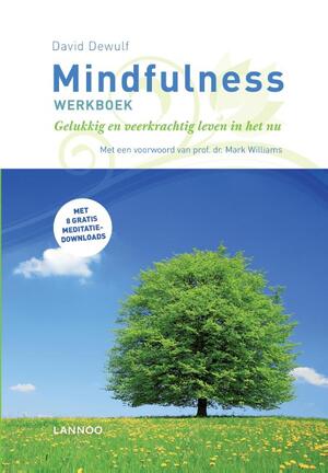 Mindfulness werkboek - David Dewulf