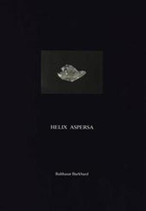 Helix aspersa - Balthasar Burkhard Helix aspersa - Balthasar Burkhard