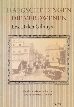 Haegsche dingen die verdwenen - Lex Dalen Gilhuys