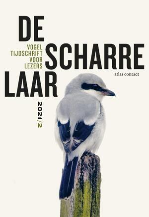 De scharrelaar - 