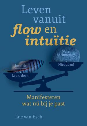 Leven vanuit flow en intuïtie - Luc van Esch