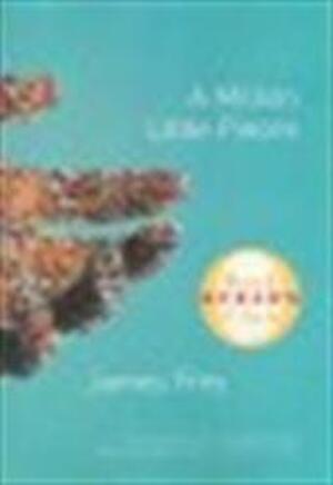 A million little pieces - James Frey A million little pieces - James Frey