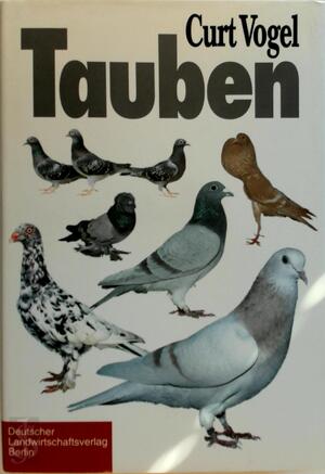 Tauben - Kurt Vogel Tauben - Kurt Vogel