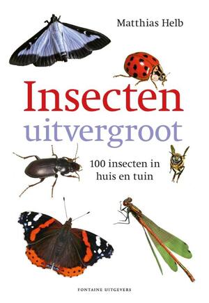 Insecten uitvergroot - Matthias Helb Insecten uitvergroot - Matthias Helb