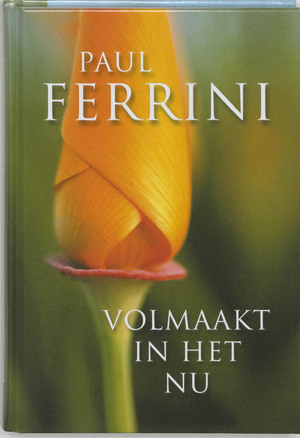 Volmaakt in het nu - P. Ferrini