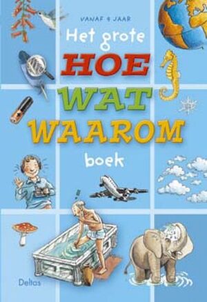 Het grote hoe, wat, waarom boek - Unknown