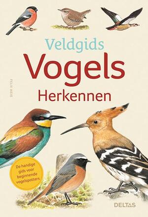 Veldgids - Vogels herkennen - Felix WEISS