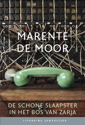 De schone slaapster in het bos van Zarja (set van 10) - Marente de Moor De schone slaapster in het bos van Zarja (set van 10) - Marente de Moor