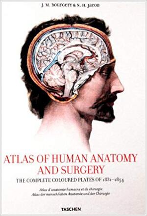 Atlas of Human Anatomy and Surgery - Jean Marc Bourgery