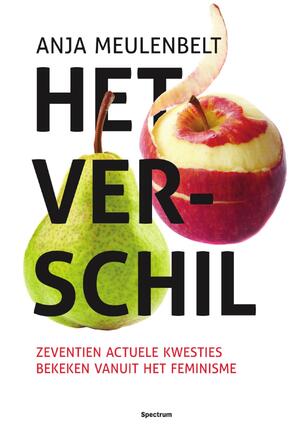Het verschil - Anja Meulenbelt