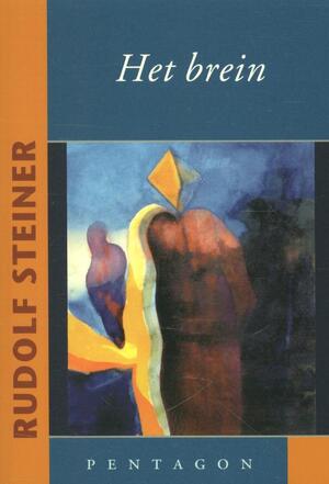 Het brein - Rudolf Steiner Het brein - Rudolf Steiner