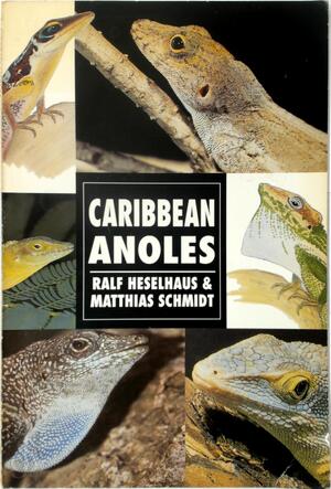 Caribbean Anoles - Ralf Heselhaus, Matthias Schmidt