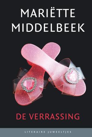 De verrassing - Mariëtte Middelbeek De verrassing - Mariëtte Middelbeek