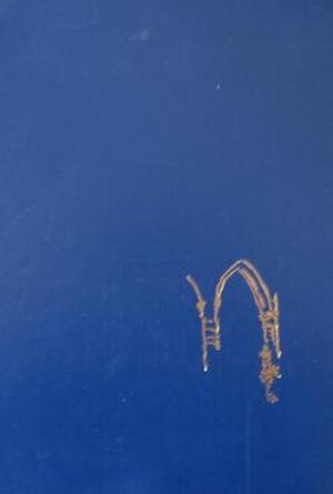 Biddende bogen - A. H. Gerits