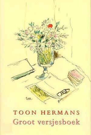 Groot versjesboek - Toon Hermans