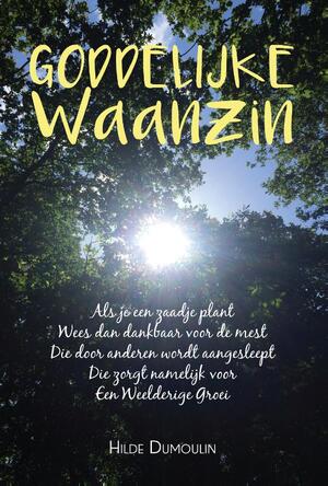 Goddelijke Waanzin - Dumoulin Hilde