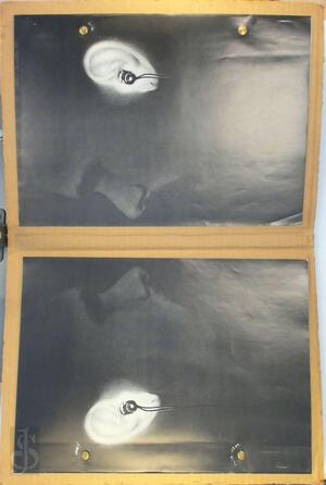 Jan van Munster - Museum Boymans-Van Beuningen, Jan van Munster