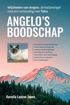 Angelo’s boodschap - Aurelia Louise Jones