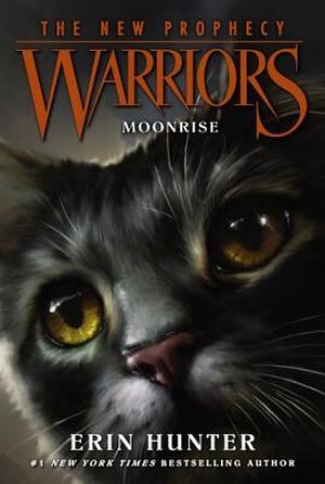 Warriors - Erin Hunter