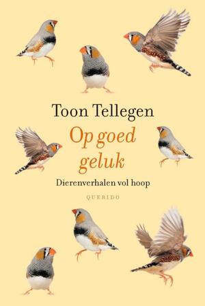 Op goed geluk - Toon Tellegen