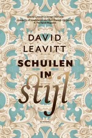 Schuilen in stijl - David Leavitt