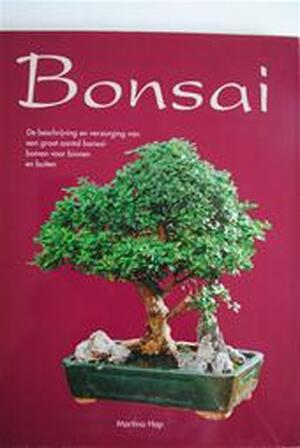 Bonsai - Martina Hop Bonsai - Martina Hop