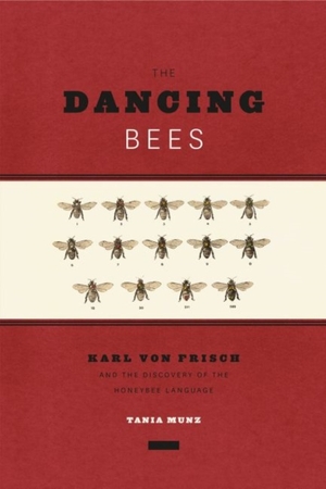 Dancing bees - Tania Munz Dancing bees - Tania Munz