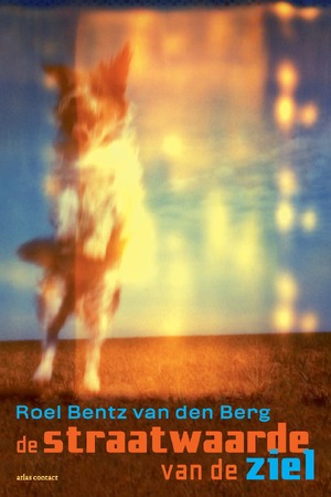 De straatwaarde van de ziel - Roel Bentz van den Berg De straatwaarde van de ziel - Roel Bentz van den Berg