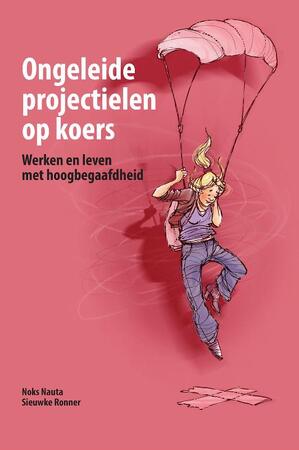Ongeleide projectielen op koers - N. Nauta, S. Ronner