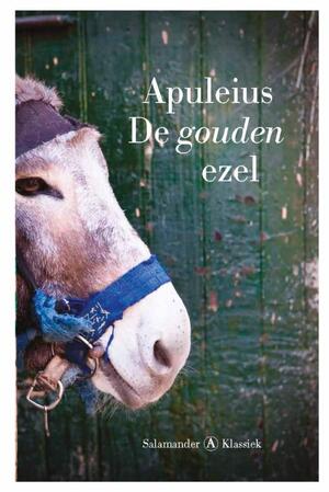 De gouden ezel - Apuleius De gouden ezel - Apuleius