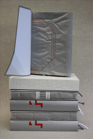 De Kunst van het Crashen [Bibliofiele uitgave] - Peter Verhelst