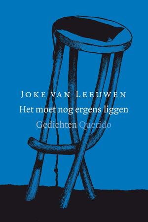 Het moet nog ergens liggen - Joke van Leeuwen Het moet nog ergens liggen - Joke van Leeuwen