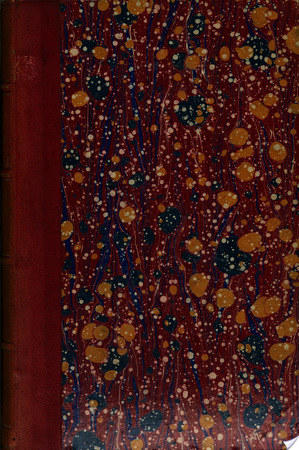 Opuscules de Muzzarelli, chanoine et théologien de la sainte pénitencerie - Alfonso Muzzarelli (S.J.)