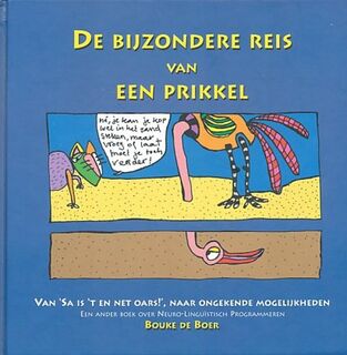 De bijzondere reis van een prikkel - Bouke de Boer (ISBN 9789080590311)