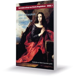 Het ontwaken van de Vrouwelijke Christus - Gabriela Gaastra-Levin, Reint Gaastra-Levin (ISBN 9789083124001)