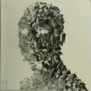 Sven Hoffmann, truth and lies - Chr. de Boer (ISBN 9062167349)