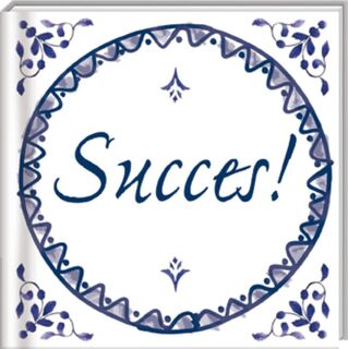 Succes (ISBN 9789461442611)