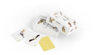 Roofvogels en Uilen memospel - Elwin van der Kolk (ISBN 9789043929615)