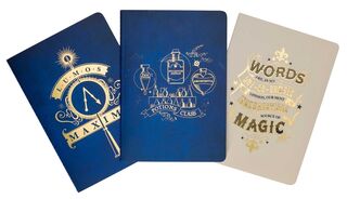 Harry Potter: Spells and Potions Planner Notebook Collection (Set of 3) - Insight Editions (ISBN 9798886631388)