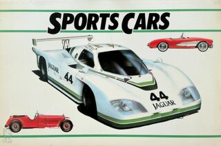 Sports Cars - David W. Hodges (ISBN 9780600333142)