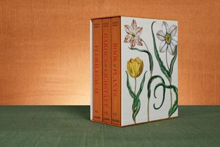 Basilius Besler. The Garden at Eichstatt - Klaus Walter Littger, Werner Dressendorfer (ISBN 9783836594332)