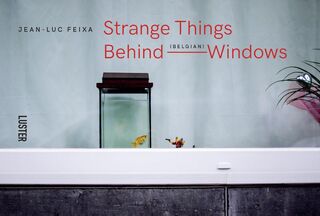 Strange Things Behind Belgian Windows - Jean-Luc Feixa (ISBN 9789460582714)