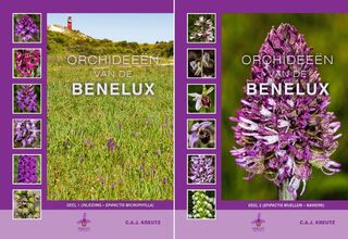 Orchideeën van de Benelux [2 delen] - C.A.J. Kreutz (ISBN 9789080662681)